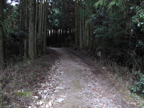 20140102hike (35)